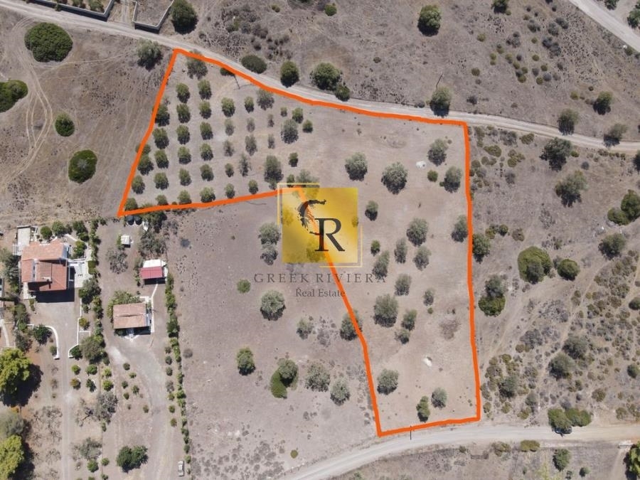 (For Sale) Land Plot || Argolida/Ermioni - 6.300 Sq.m, 250.000€ 