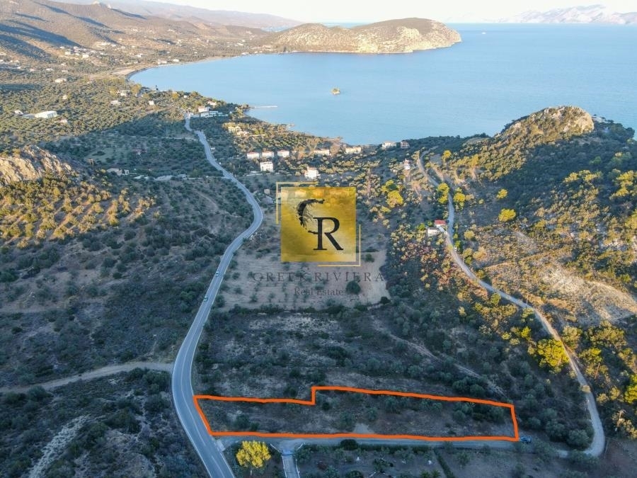 (For Sale) Land Plot || Argolida/Ermioni - 4.000 Sq.m, 90.000€ 